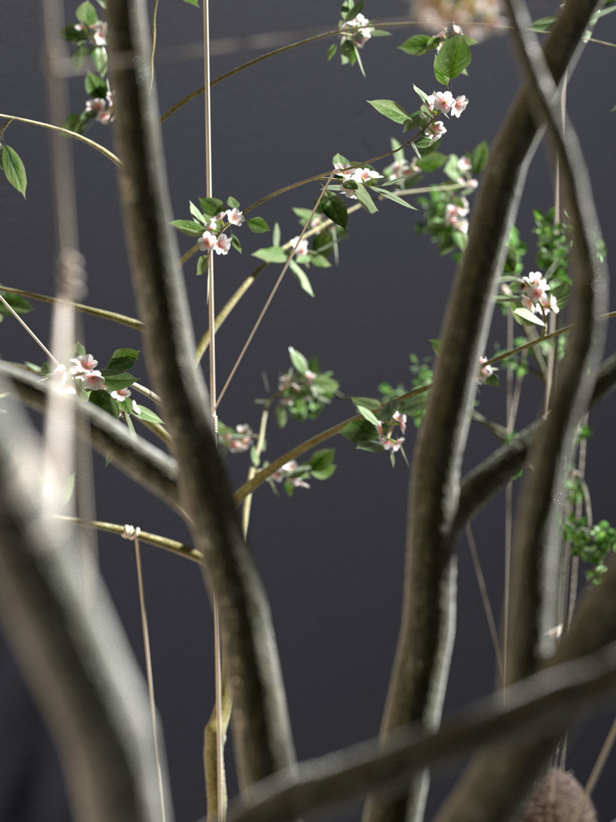String Garden 3D model_1