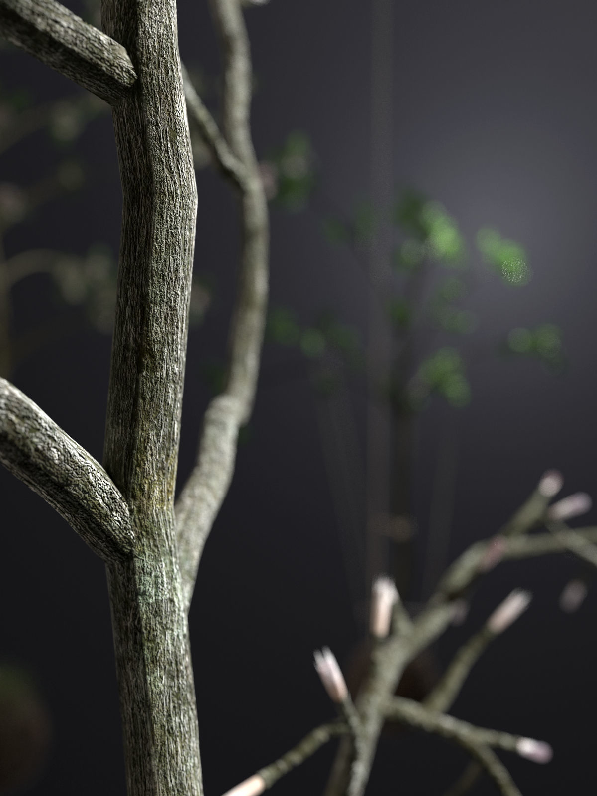 String Garden 3D model_6