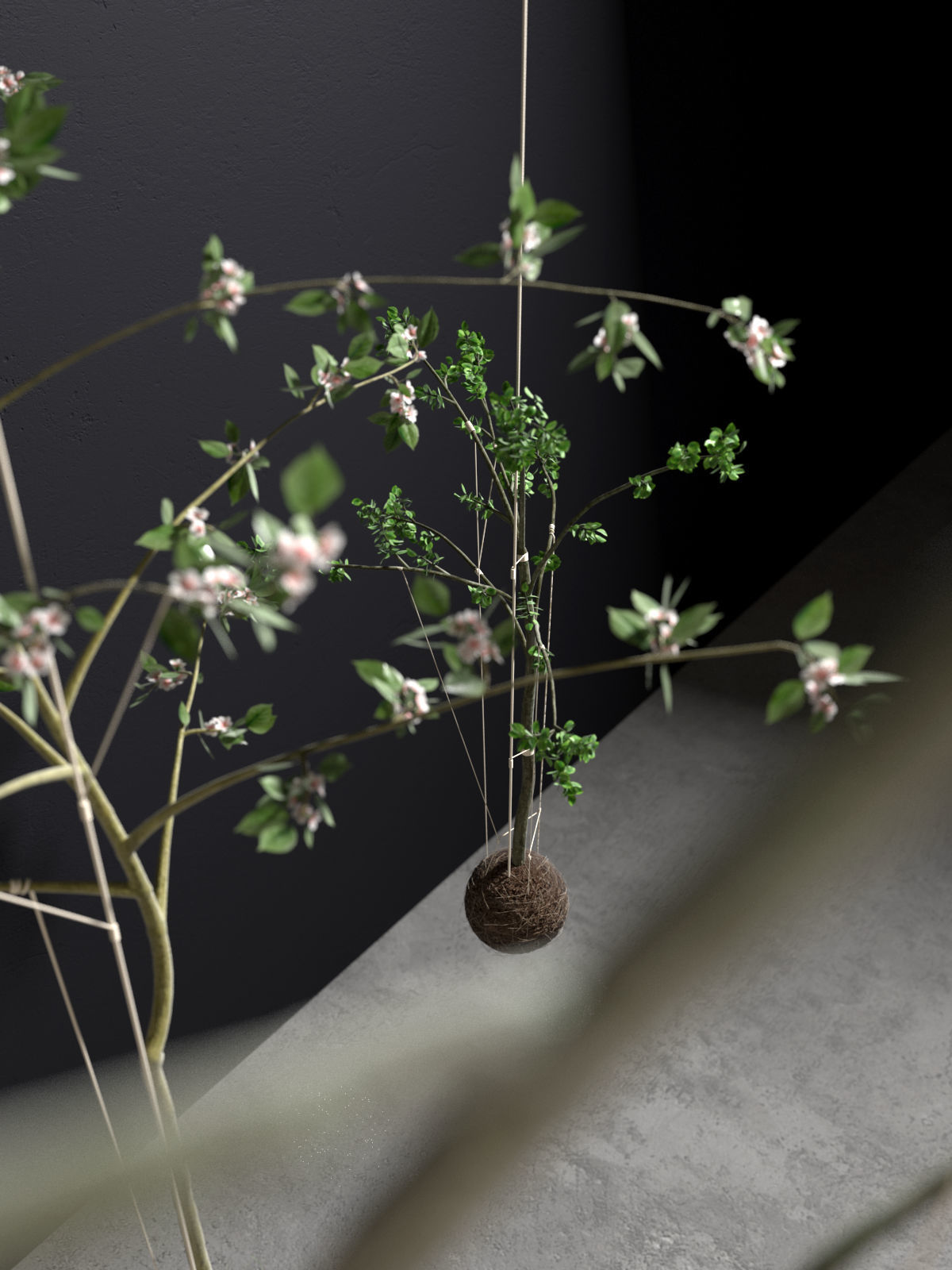 String Garden 3D model_7