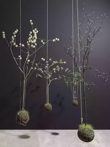String Garden 3D model