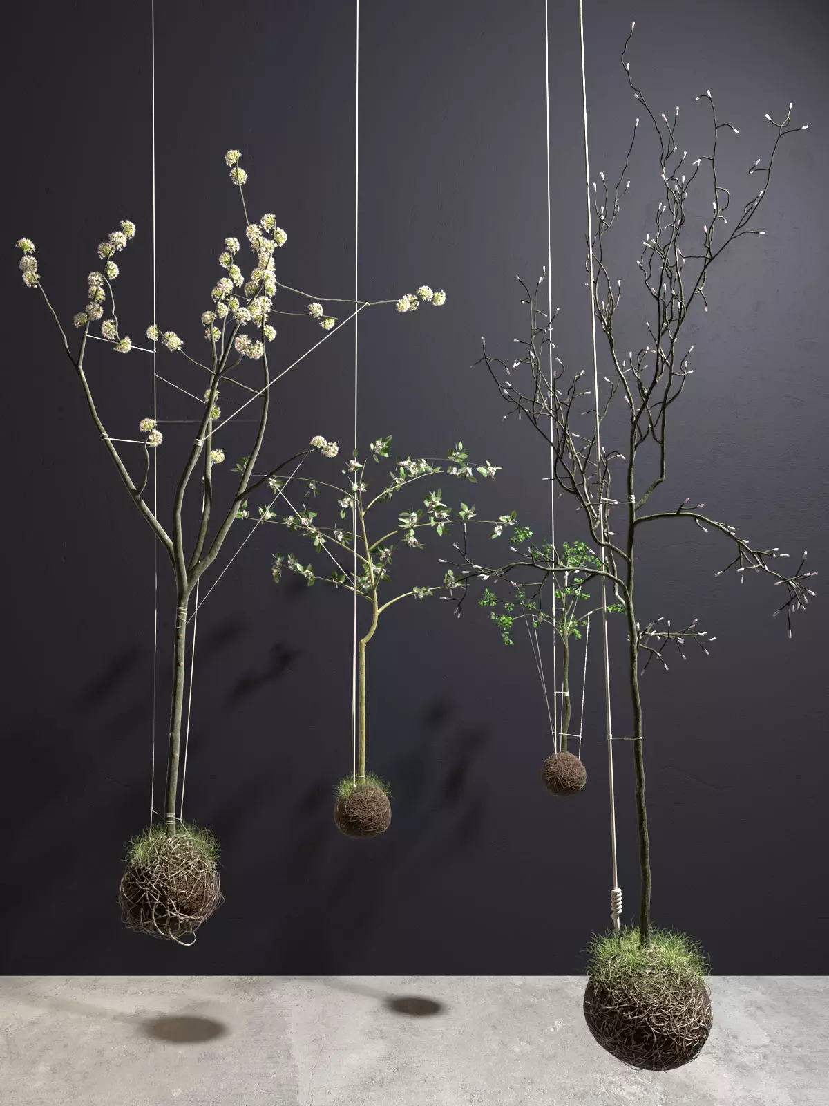 String Garden 3D model_0