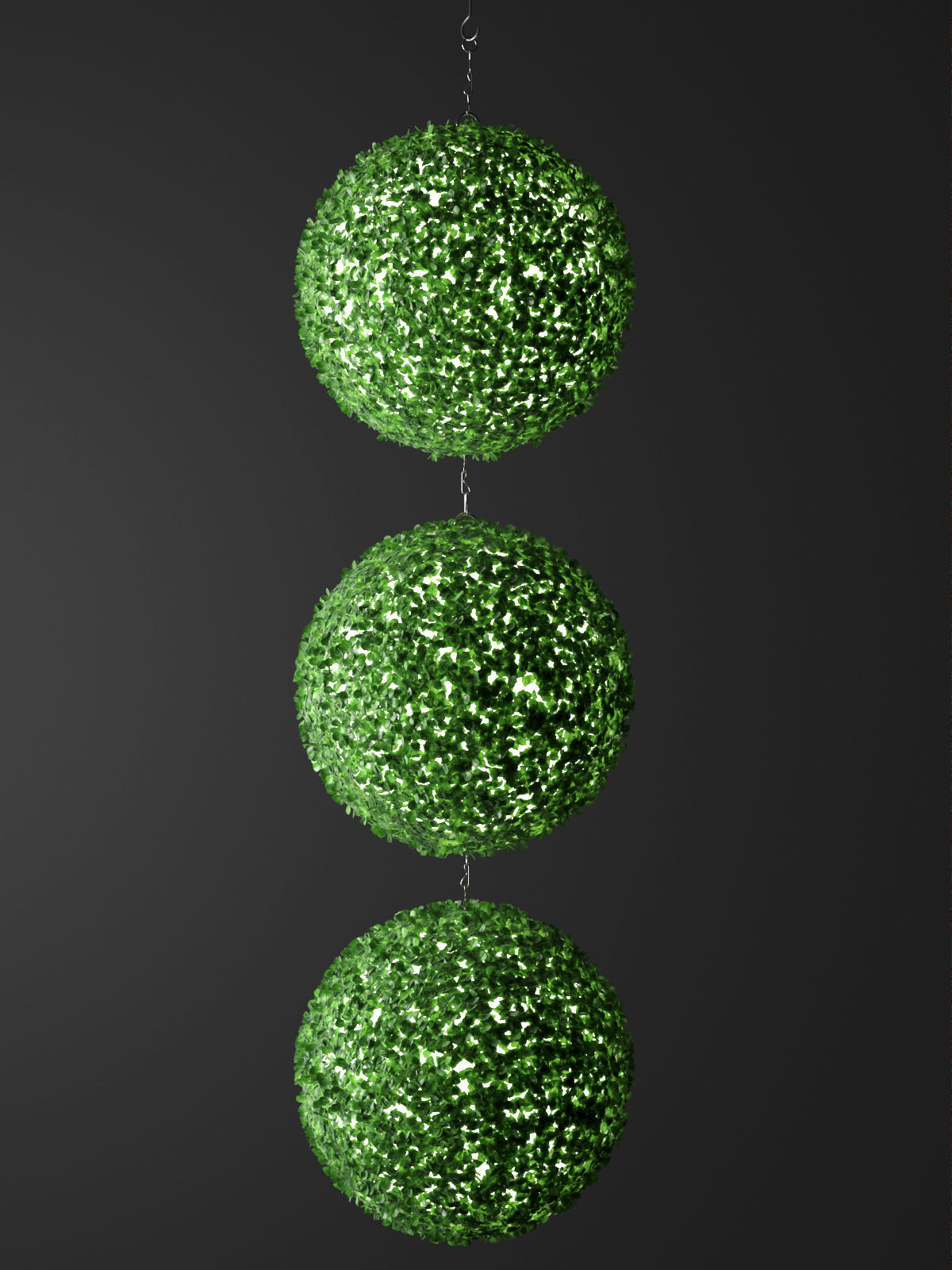 Indoor Hanging Plants 3D model_1