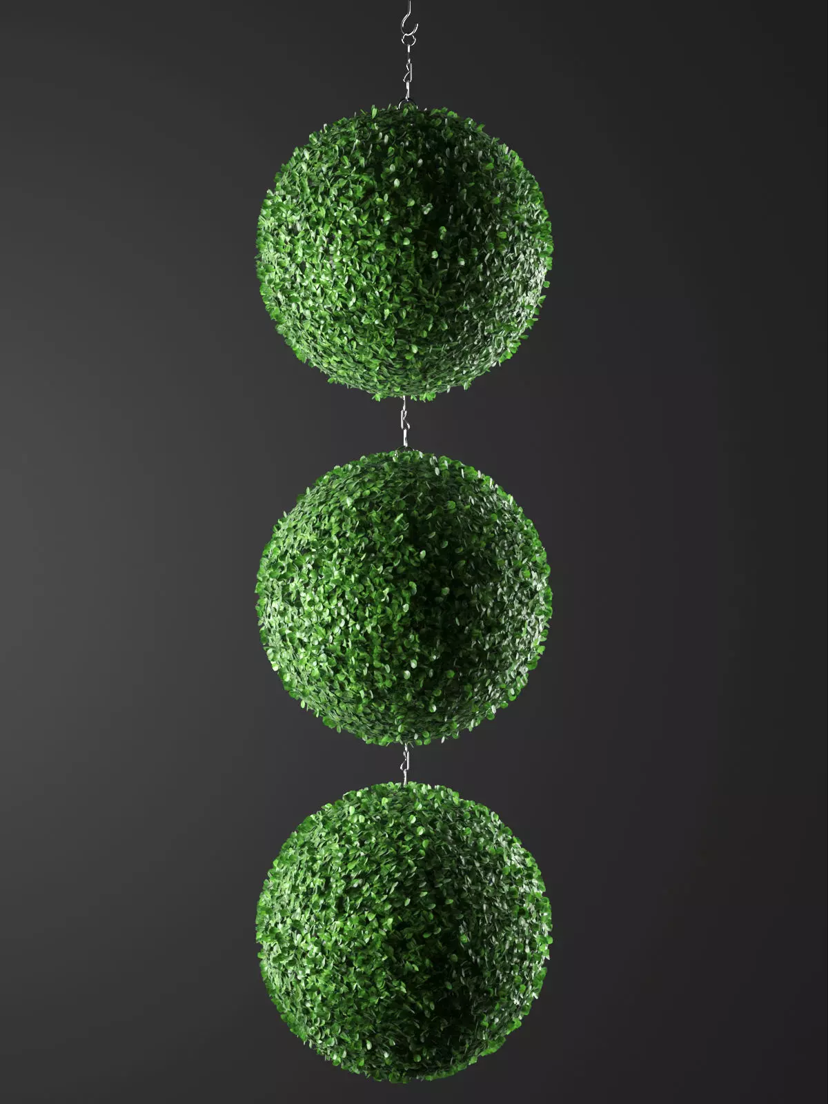 Indoor Hanging Plants 3D model_0