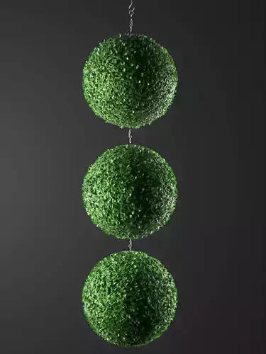 Indoor Hanging Plants 3D model