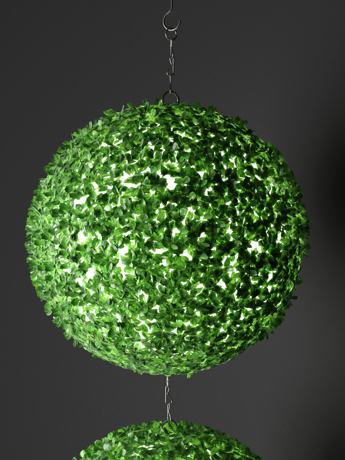 Indoor Hanging Plants 3D model_2