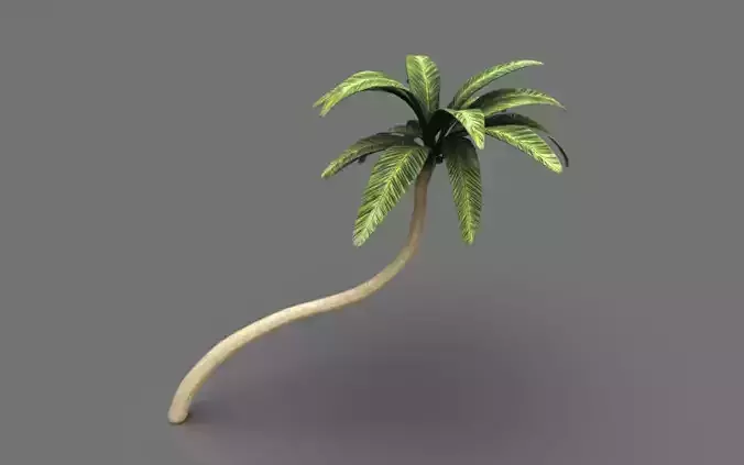 Palm tree 2 Low-poly 3D model