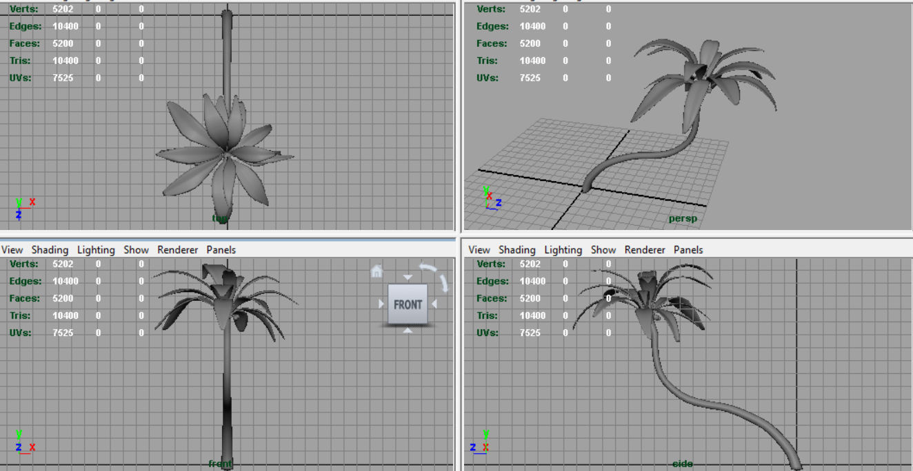 Palm tree 2 Low-poly 3D model_13