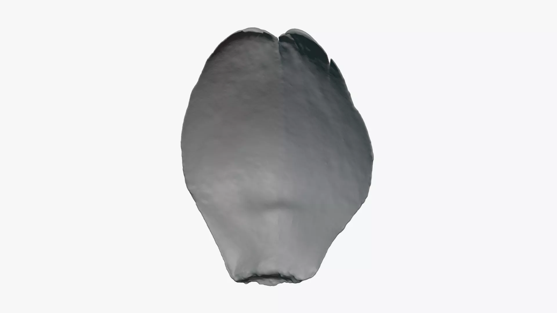 Artichoke Leaf 02 - For 3D Print 3D print model