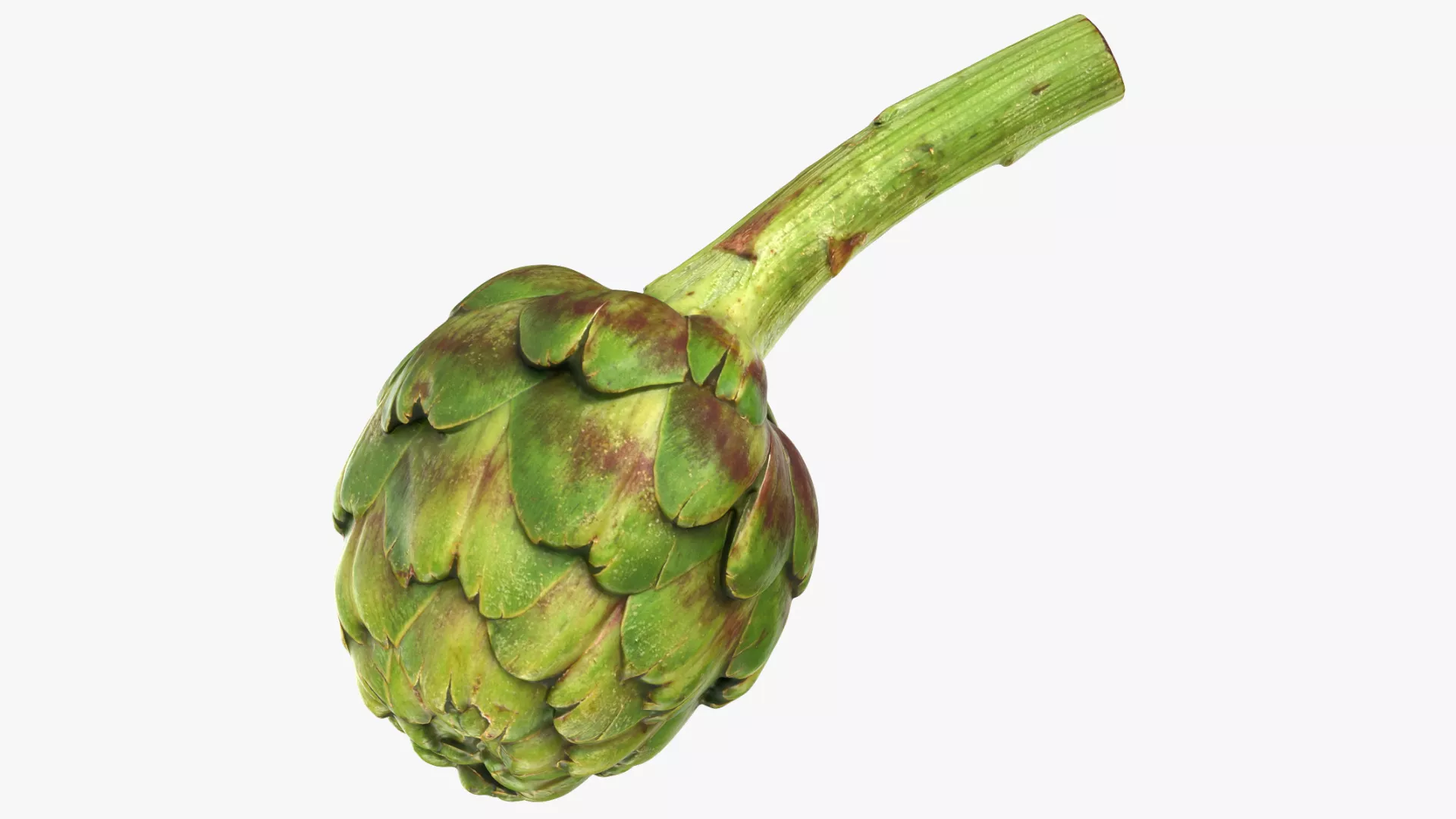 Artichoke with Stem Low-poly 3D model