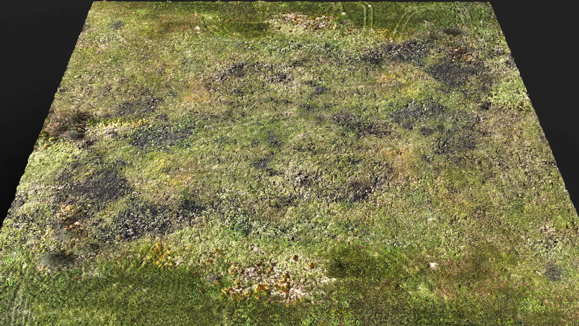 terrain ground grass bushes patch pt15 PBR photogrammetry Low-poly 3D model