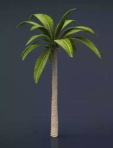 Palm tree Low-poly 3D model