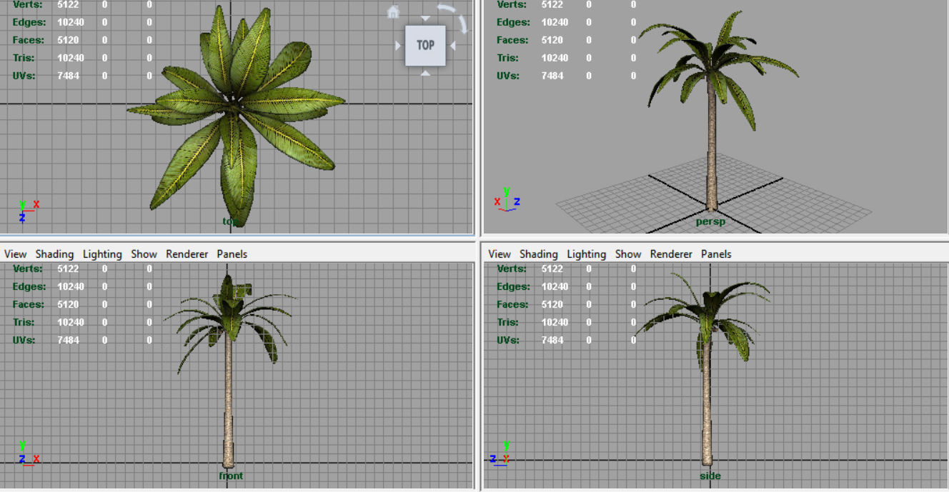 Palm tree Low-poly 3D model_8