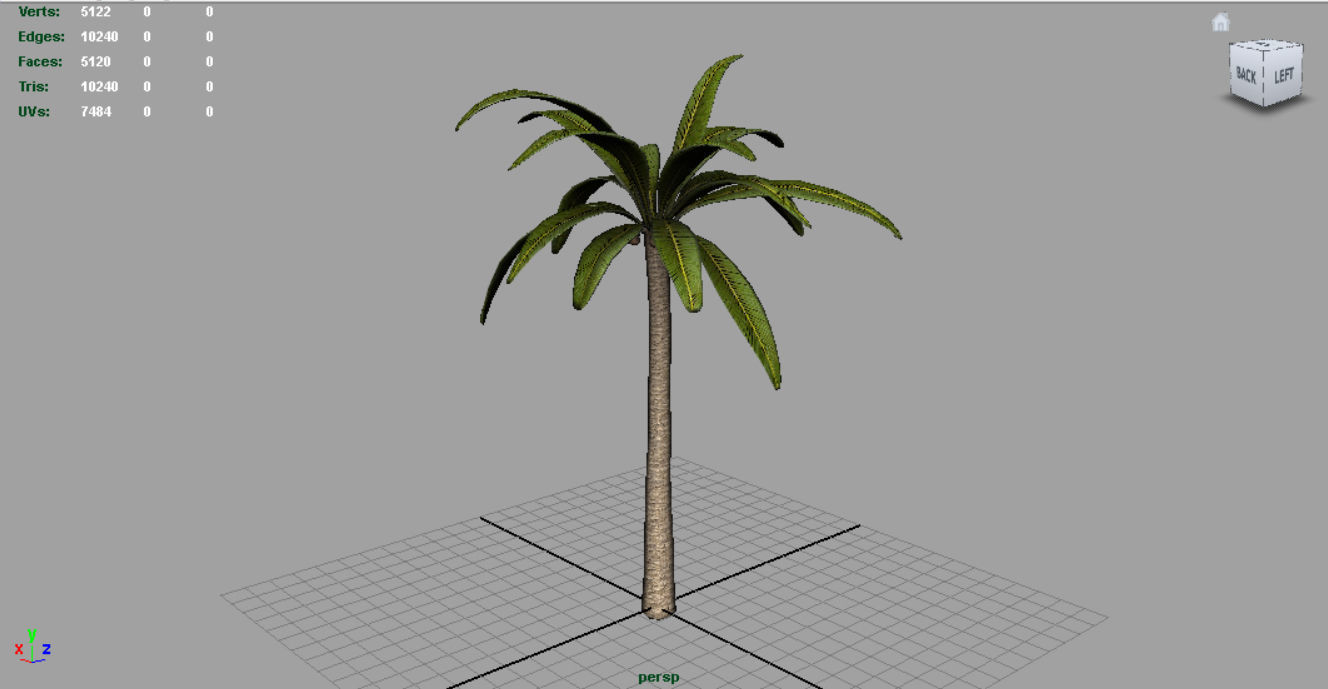 Palm tree Low-poly 3D model_5