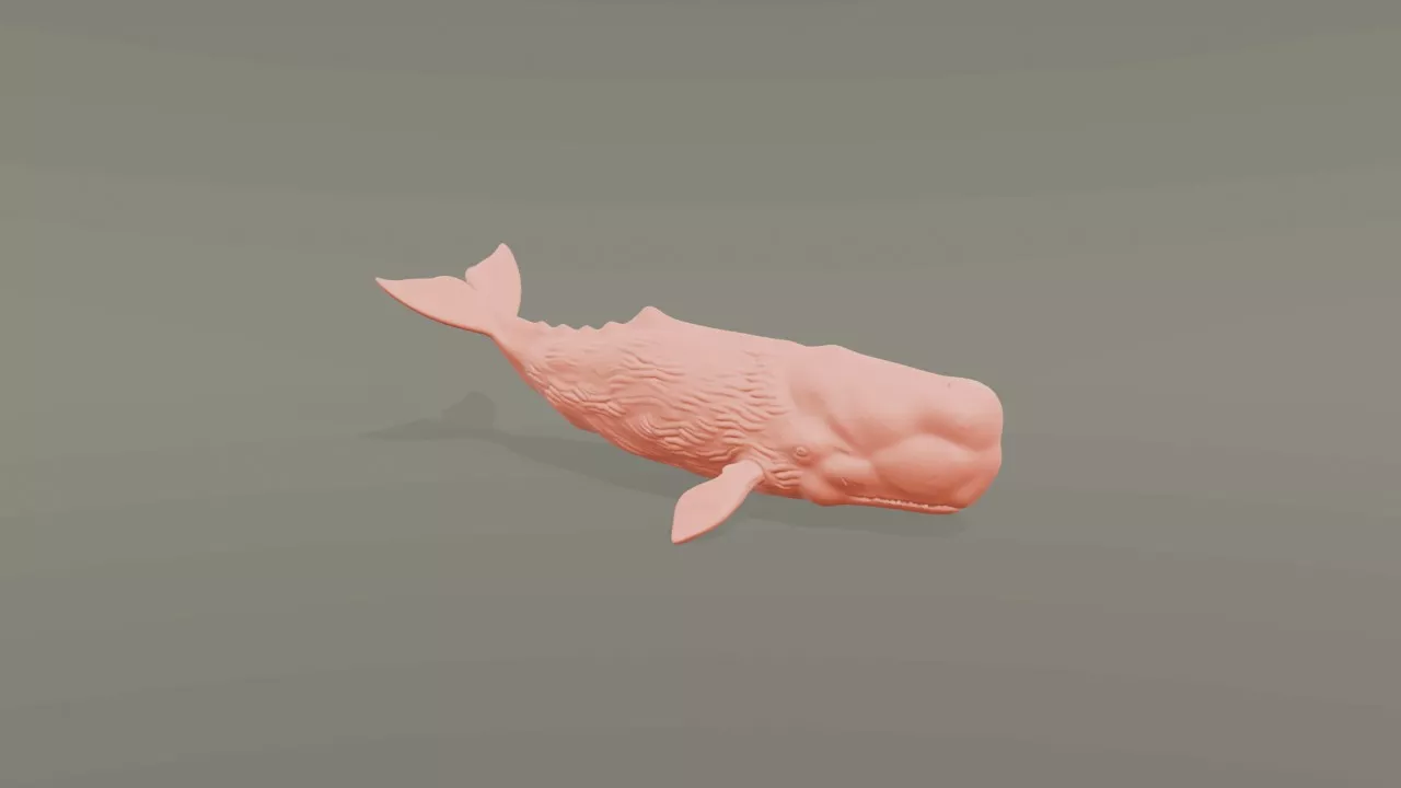 Sperm Whale 3D print model