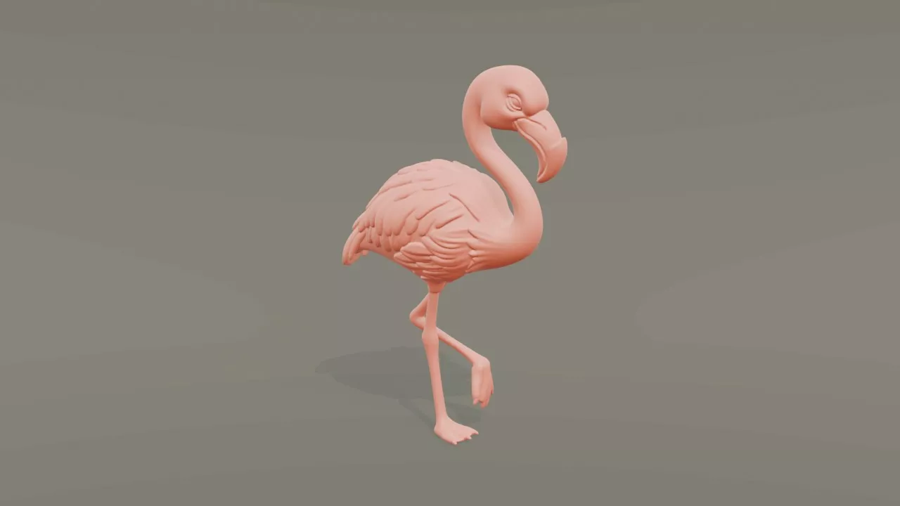 Greater Flamingo 3D print model