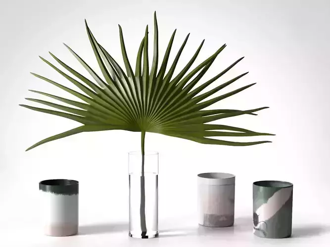 Palm Leaf in Glass Vase and Candles
