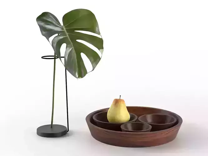 Monstera and Bowls with Pear