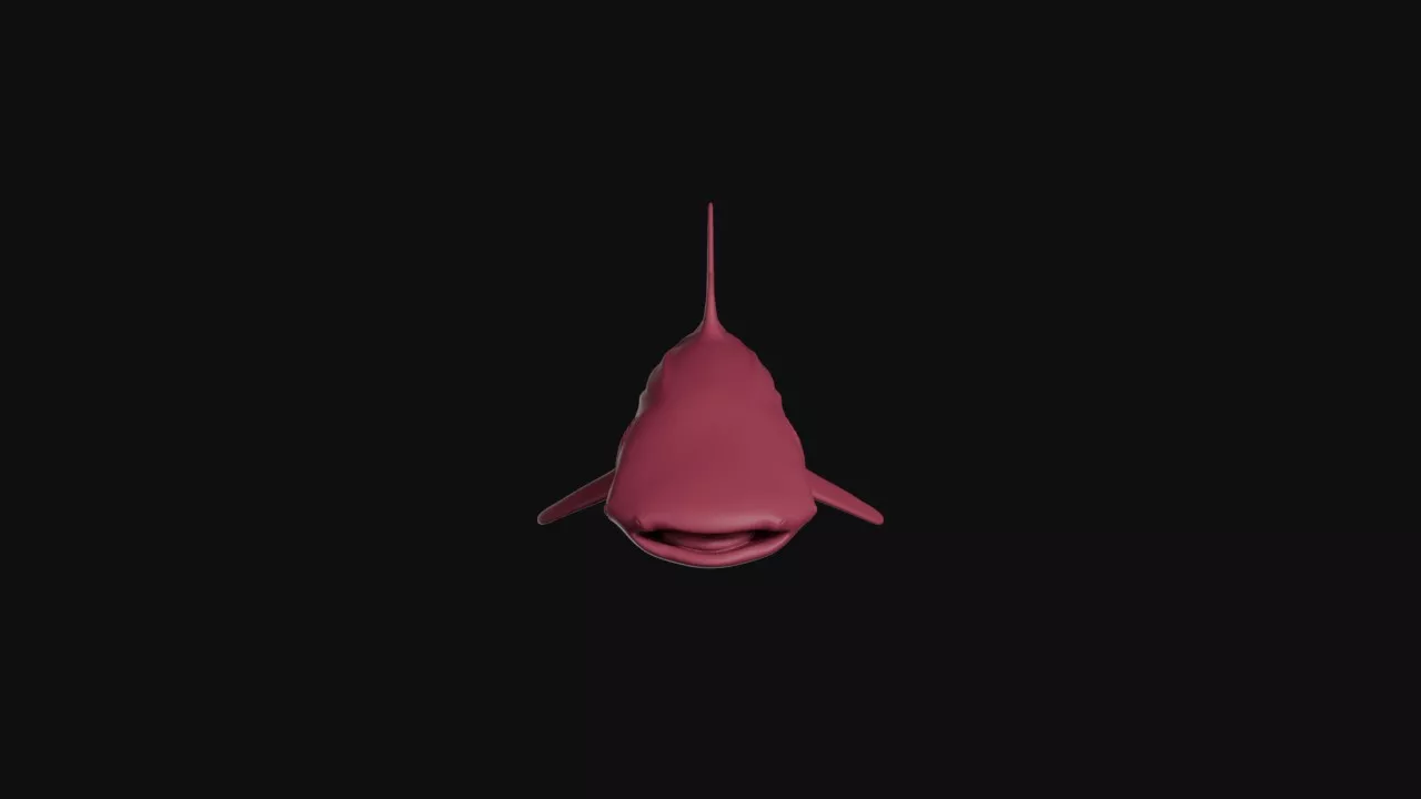 Whale Shark 3D print model