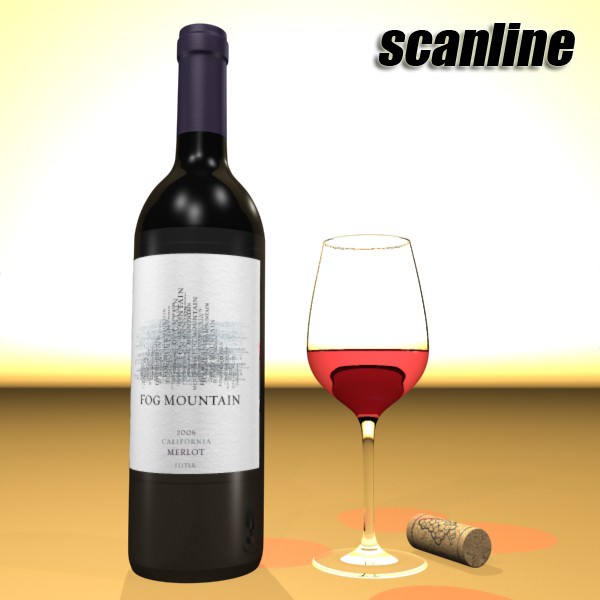 6 Wine Bottles Collection 3D model_39
