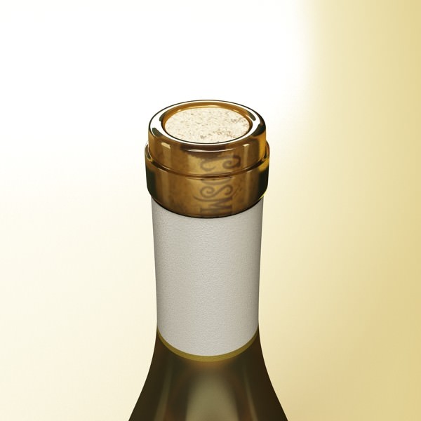 6 Wine Bottles Collection 3D model_12