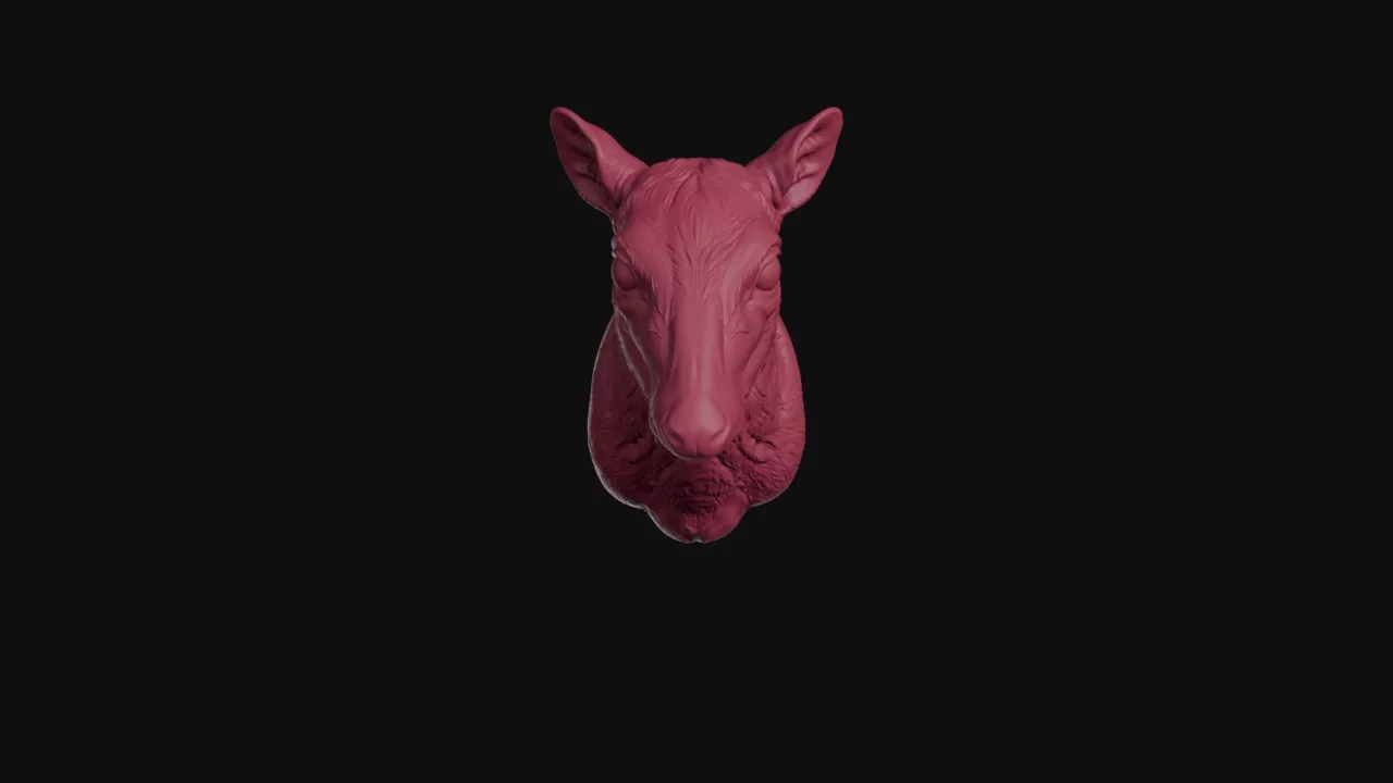 Chevrotain Mouse Deer Head Sculpture 3D print model