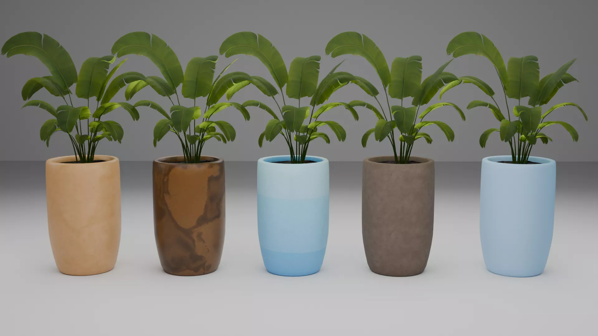 Potted Plant 3D model