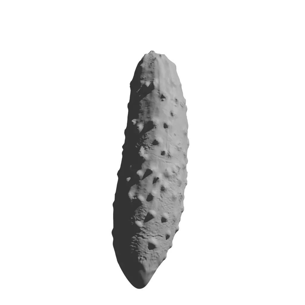 Cucumber 3D print model
