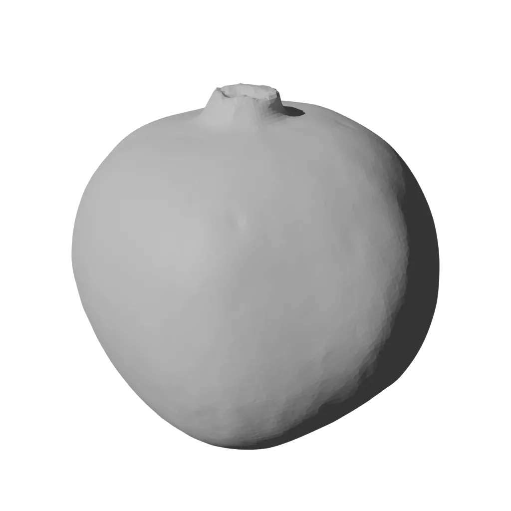 Pomegranate Fruit Model 3D print model