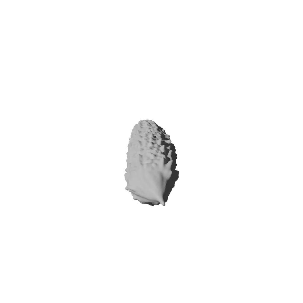 Bitter Melon 3D print model