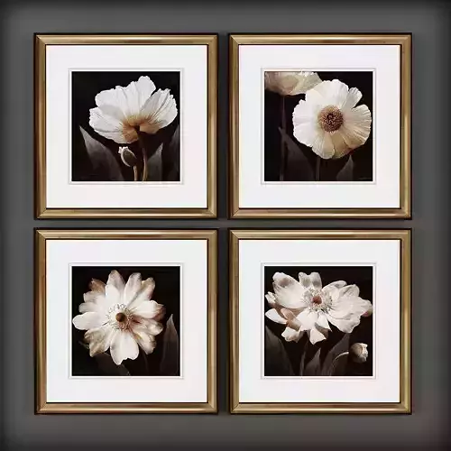 Picture Frames