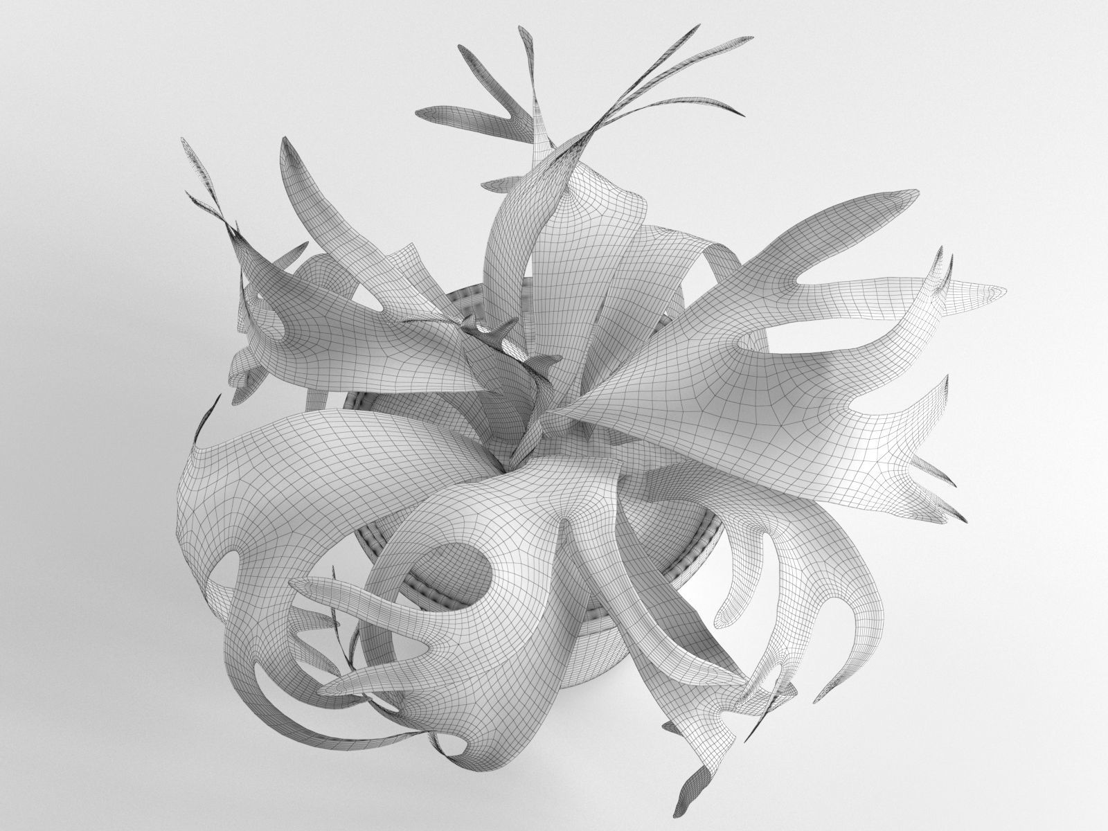 Platycerium Bifurcatum in Pot 3D model_2