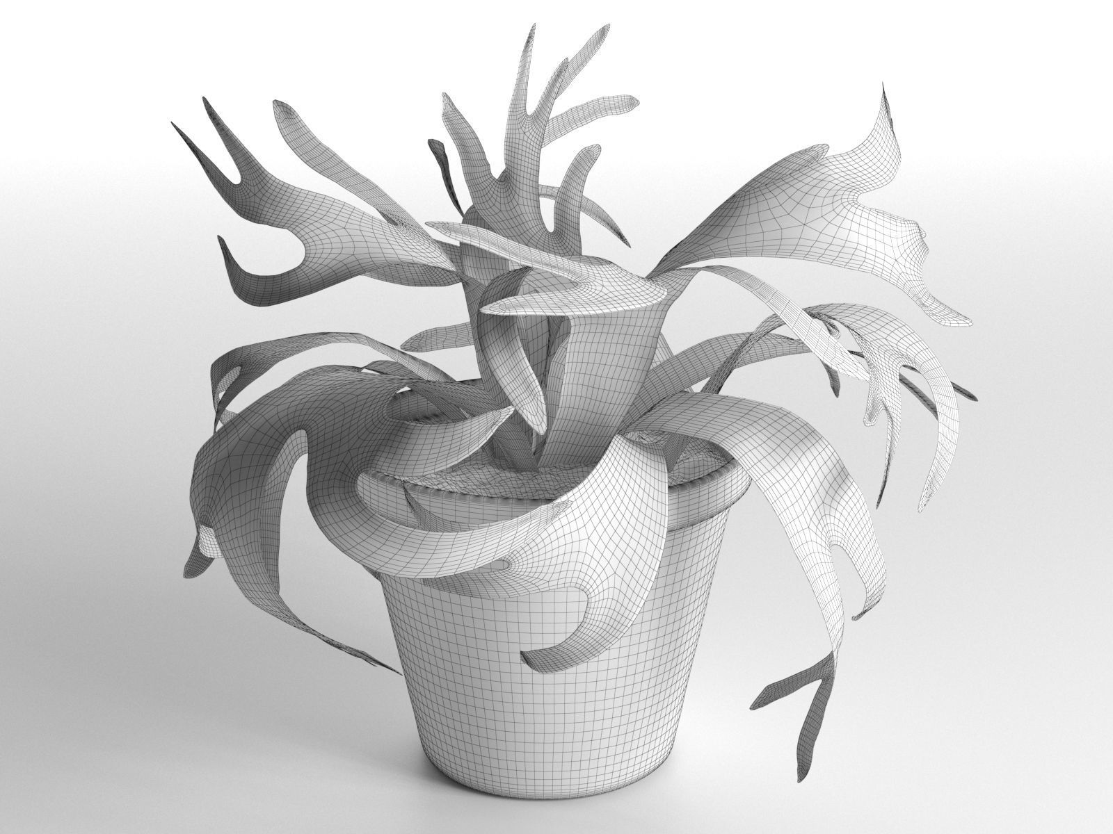 Platycerium Bifurcatum in Pot 3D model_1