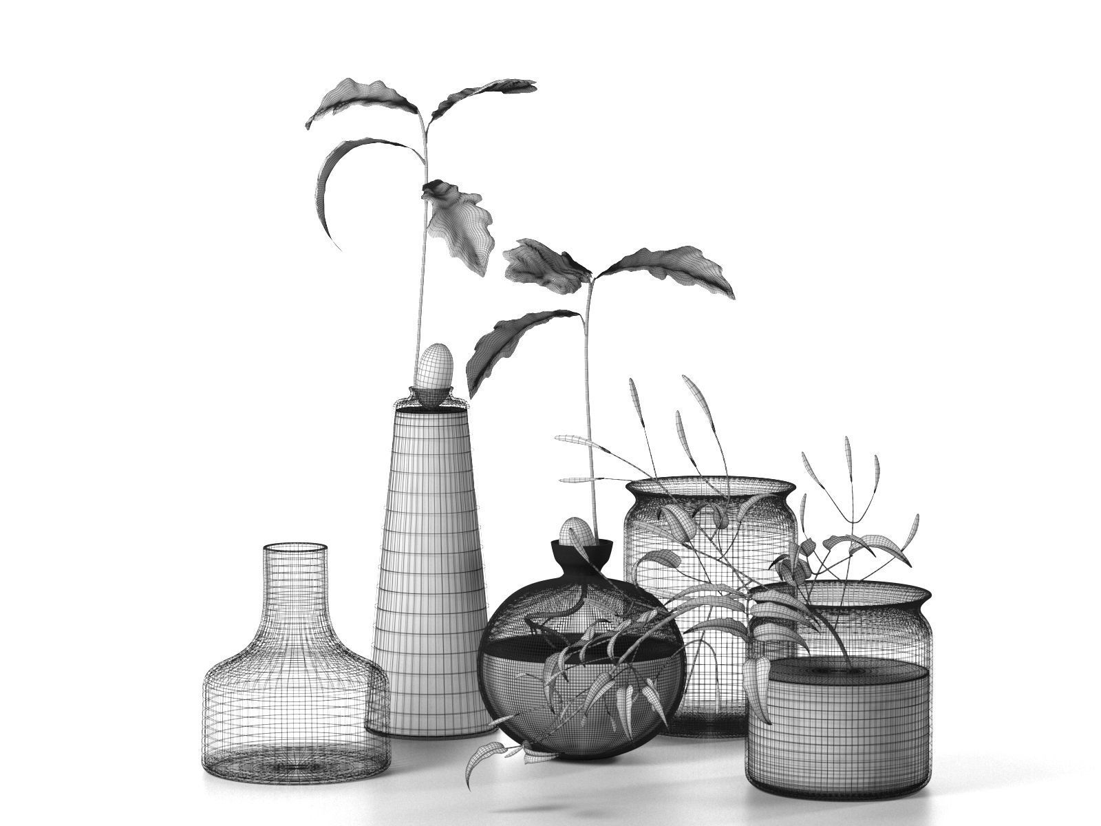 Water Plants in Vases 3D model_1