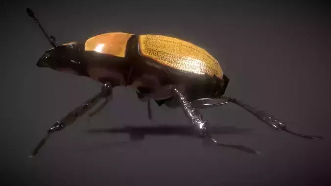 scarab beetle Low-poly 3D model