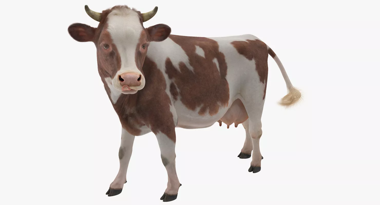 Red and White Cow with Fur 3D model