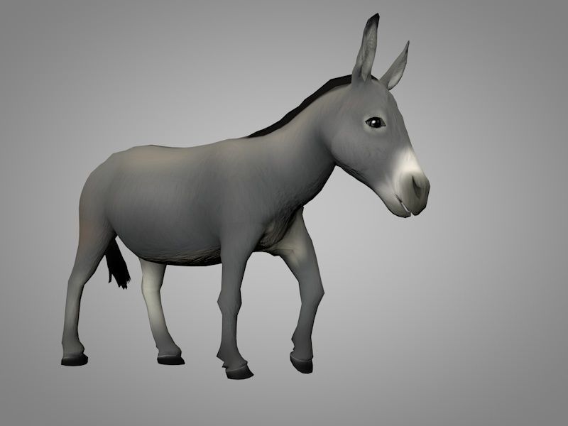 Donkey Low-poly 3D model_6