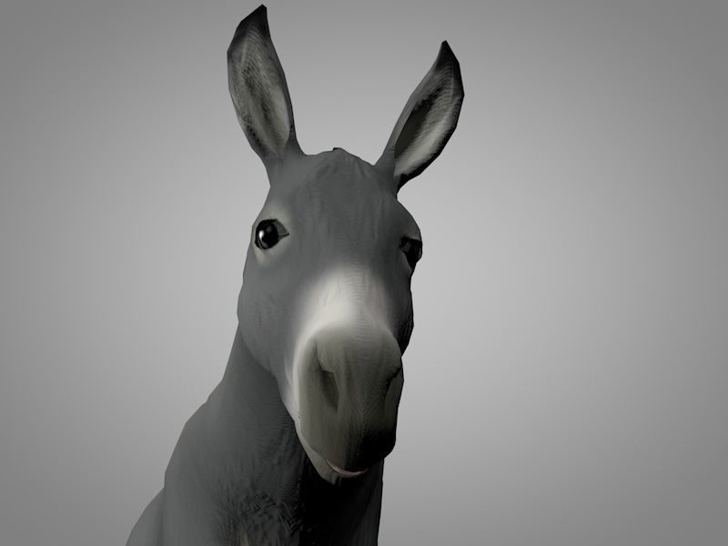 Donkey Low-poly 3D model_1