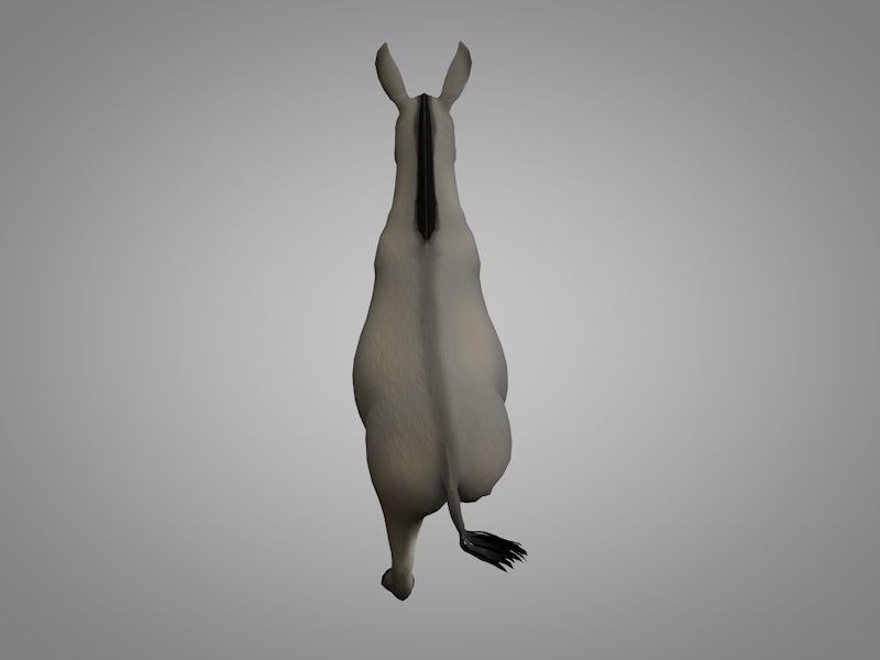 Donkey Low-poly 3D model_3