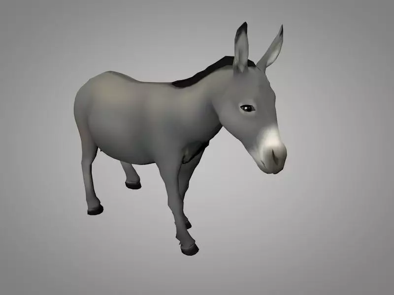 Donkey Low-poly 3D model_0