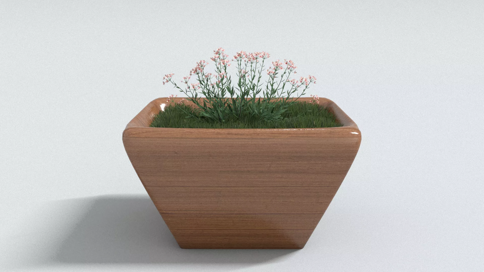laos Rosalita 3D model