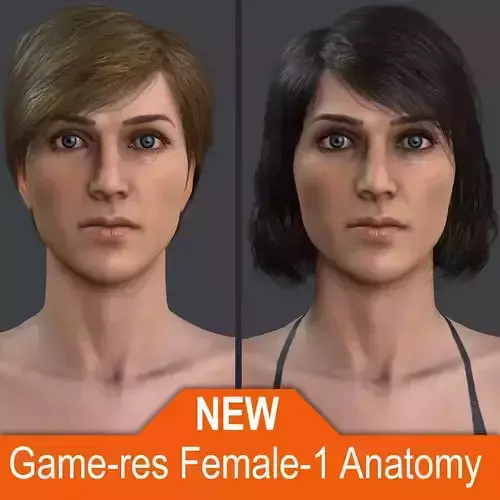 Female 1 - Anatomy - Hair 1 Low-poly 3D model
