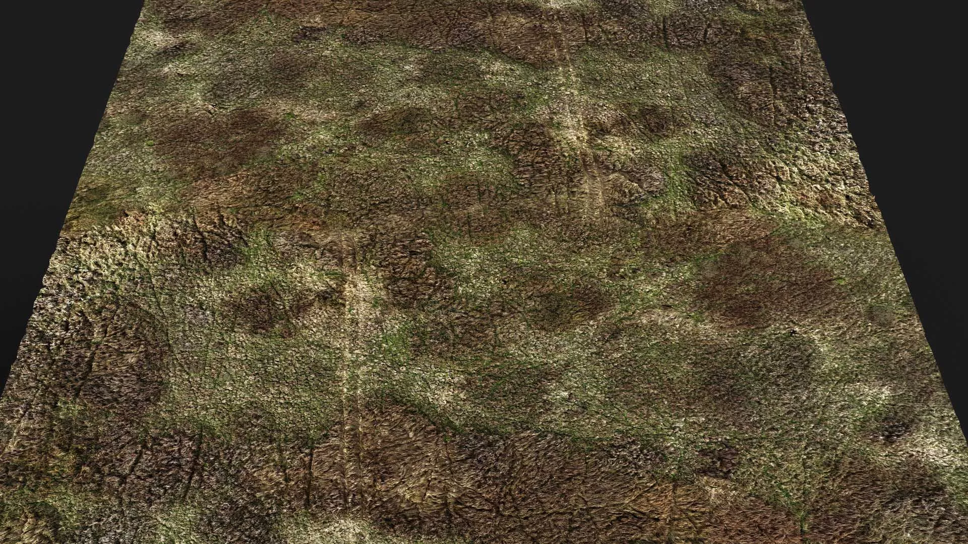 terrain ground grass bushes patch pt16 PBR photogrammetry Low-poly 3D model