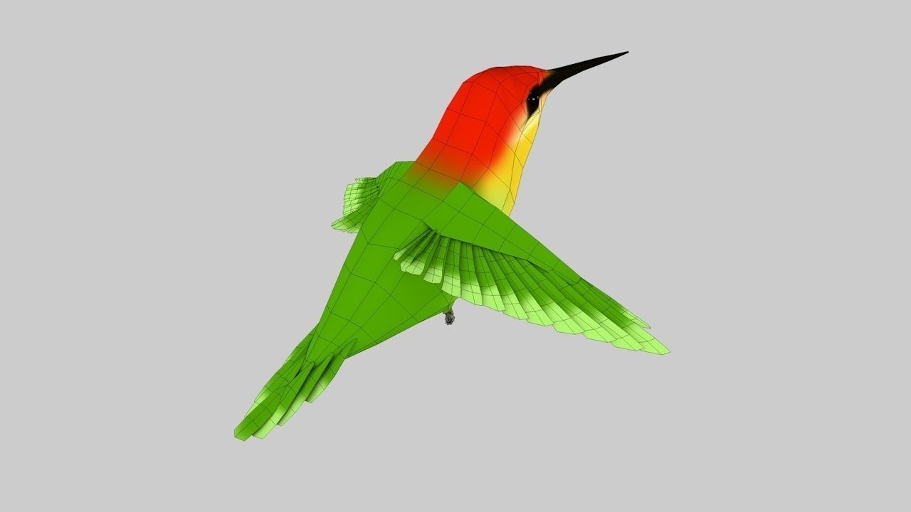 Humming bird-Rigged-Animated C4d Low-poly 3D model_6
