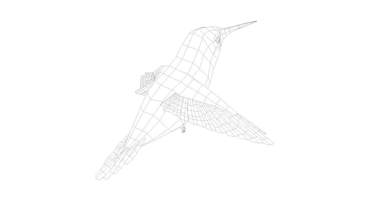 Humming bird-Rigged-Animated C4d Low-poly 3D model_3
