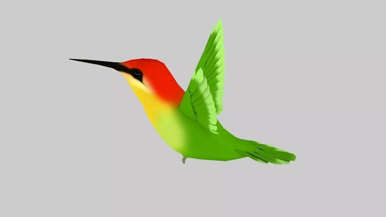Humming bird-Rigged-Animated C4d Low-poly 3D model_0