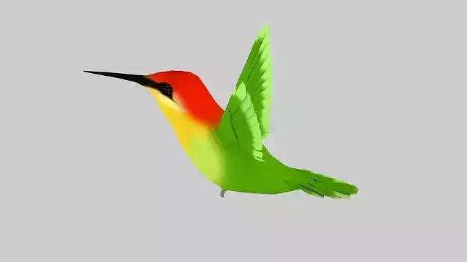 Humming bird-Rigged-Animated C4d Low-poly 3D model