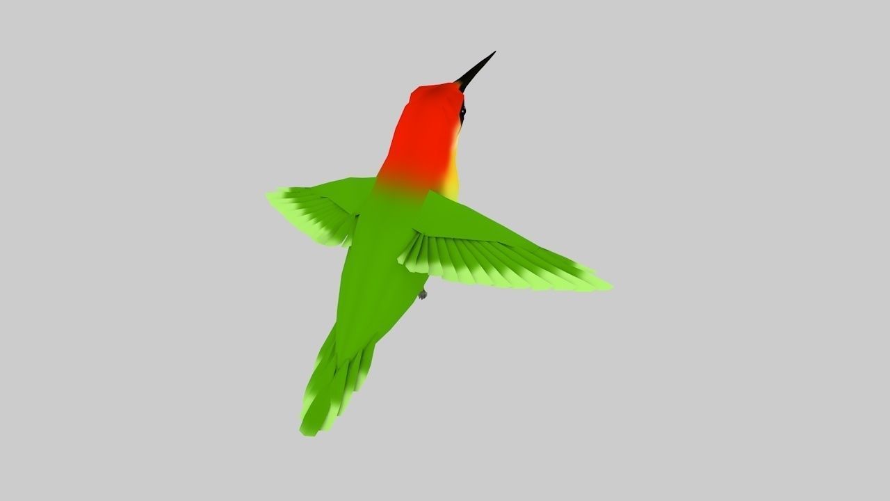 Humming bird-Rigged-Animated C4d Low-poly 3D model_5