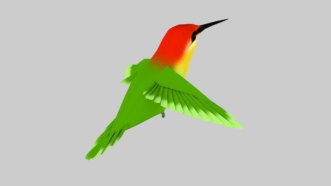 Humming bird-Rigged-Animated C4d Low-poly 3D model_4