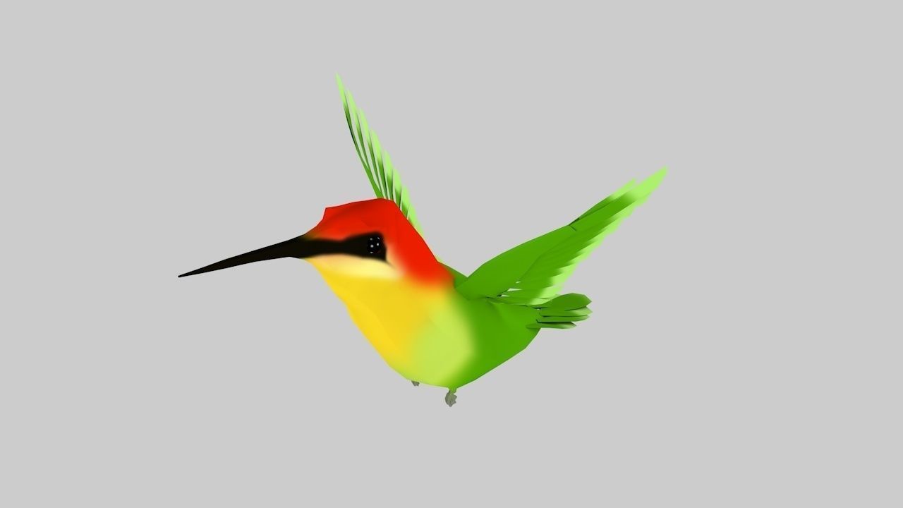 Humming bird-Rigged-Animated C4d Low-poly 3D model_2