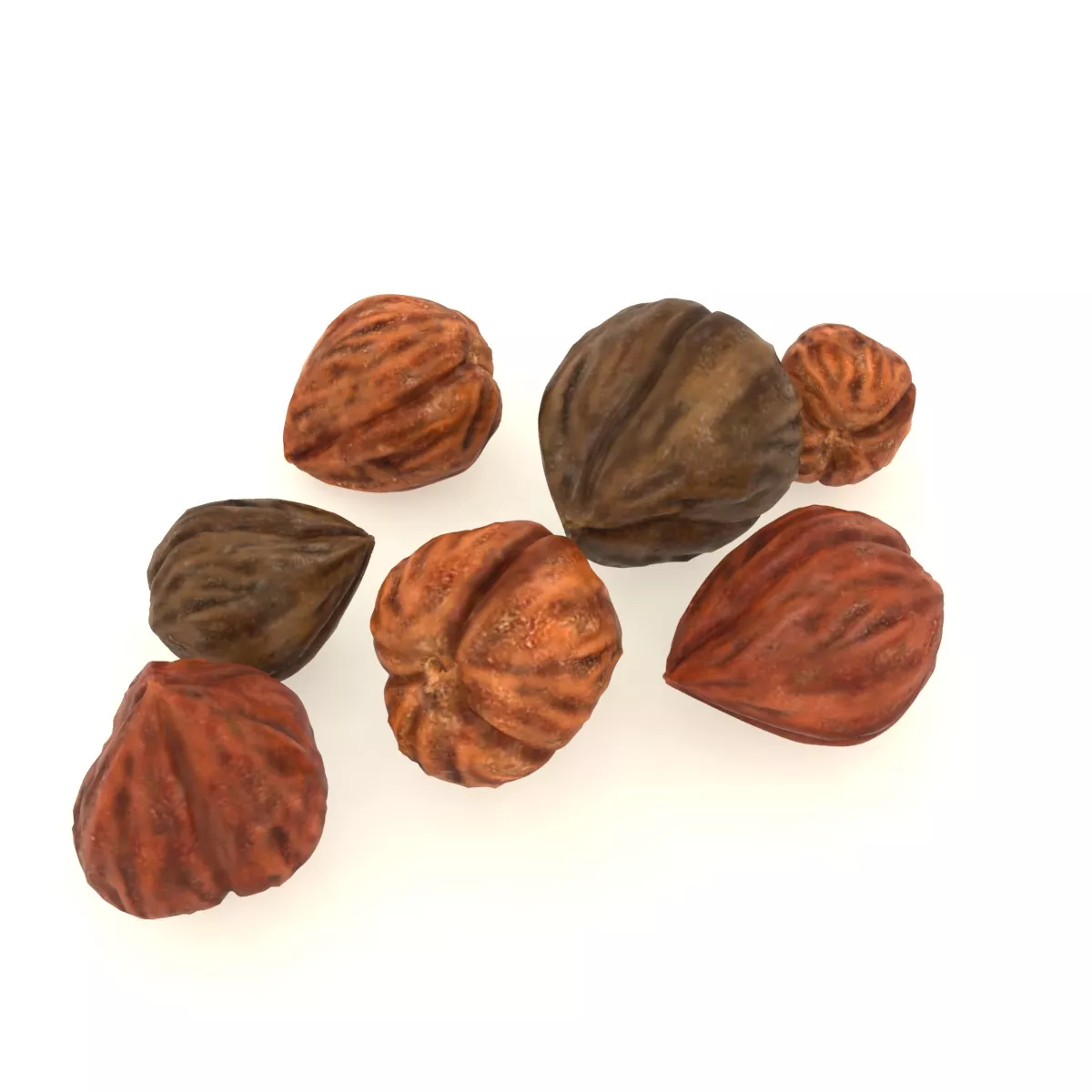 Jojoba seeds asset Low-poly 3D model